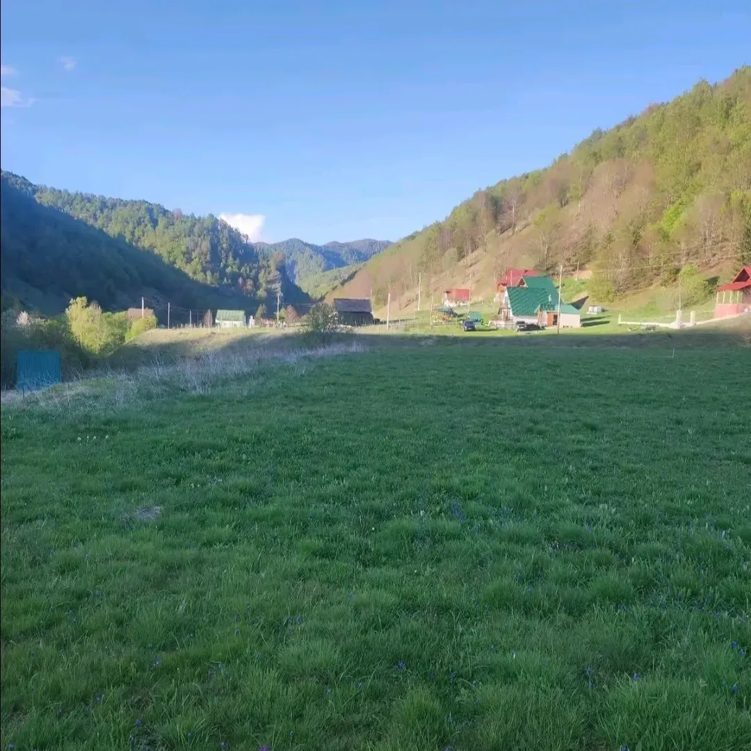 Prodaja, plac, 7000m², Veruša, Podgorica