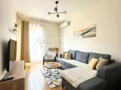 Rent, apartment, 43m², Central Point, Podgorica - image 1