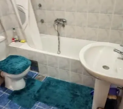 Rent, one bedroom apartment, 45m², Nova Detelinara, Novi Sad Sve Podlokacije - image 9