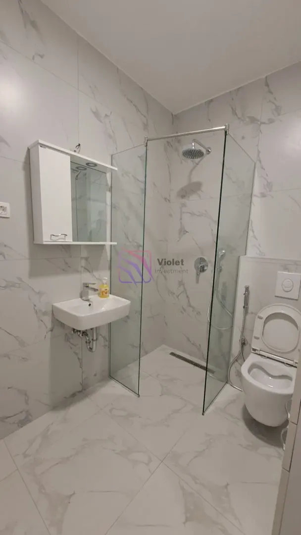 Modern equipped bathroom with a walk-in shower, washbasin, and toilet.