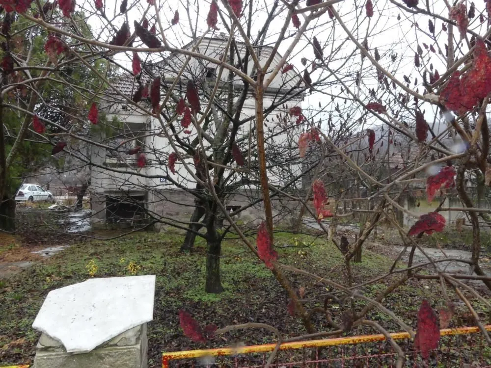 Prodaja, kuća, 80m², Majur, Jagodina