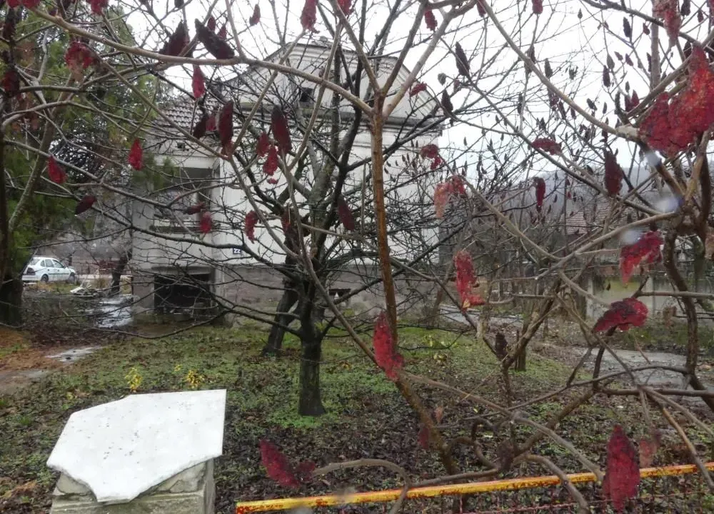 Prodaja, kuća, 80m², Majur, Jagodina