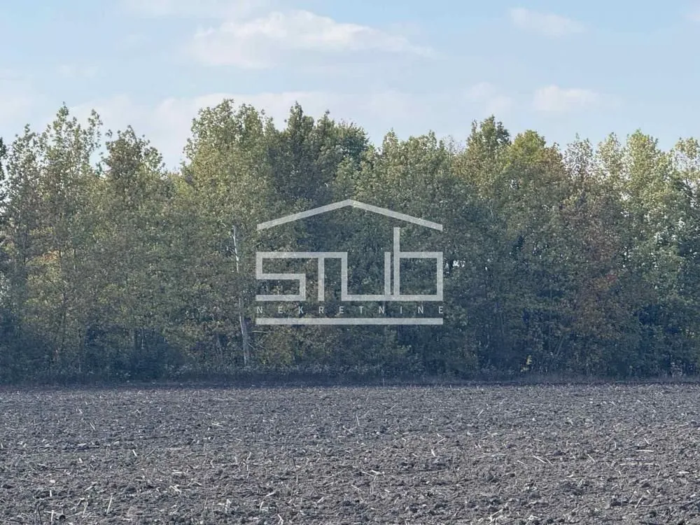 Prodaja, plac, 5300m², Čukarica, Beograd