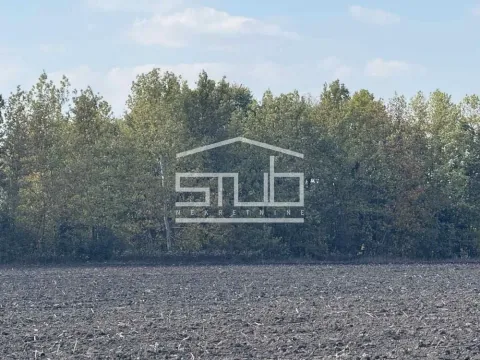 Sale, land lot, Čukarica, Beograd - image 3