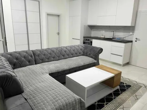 Rent, one bedroom apartment, 45m², Ilino, Bar - image 2