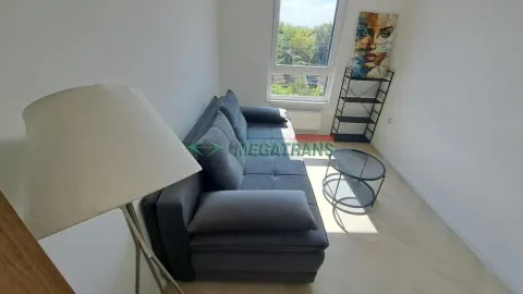 Manja dnevna soba sa sivom garniturom, stočićem i prozorom. - image 11