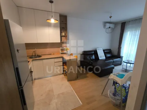 Rent, one bedroom apartment, 37m², Central Point, Podgorica - image 3