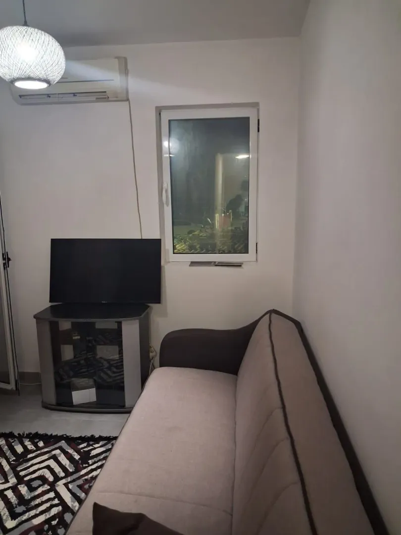 Smaller living room with a sofa, TV, and air conditioning unit.