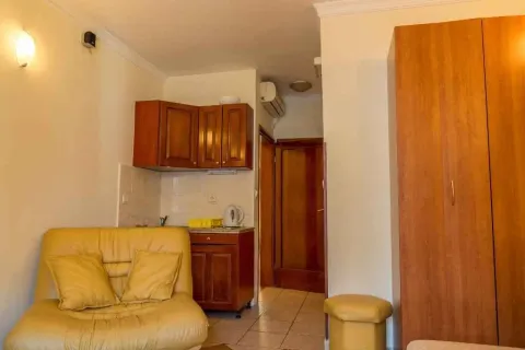 Jednostavan studio apartman sa malom kuhinjom i žutom sofom. - image 41