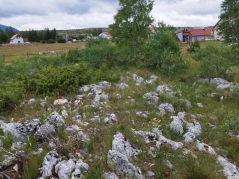 Prodaja, plac, 591m², Tepačko polje, Žabljak - image 8