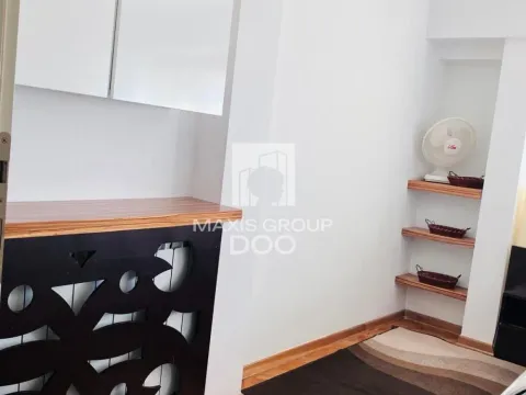 Izdavanje, jednosoban stan, 65m², Vračar Centar, Vračar Sve Podlokacije - image 4