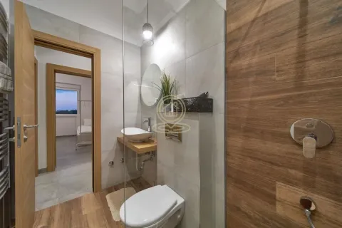 Izdavanje, kuća, 300m², Sremski Karlovci, Novi Sad - image 13