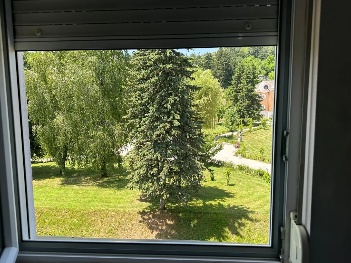 Pogled kroz prozor na zeleni park sa drvećem.