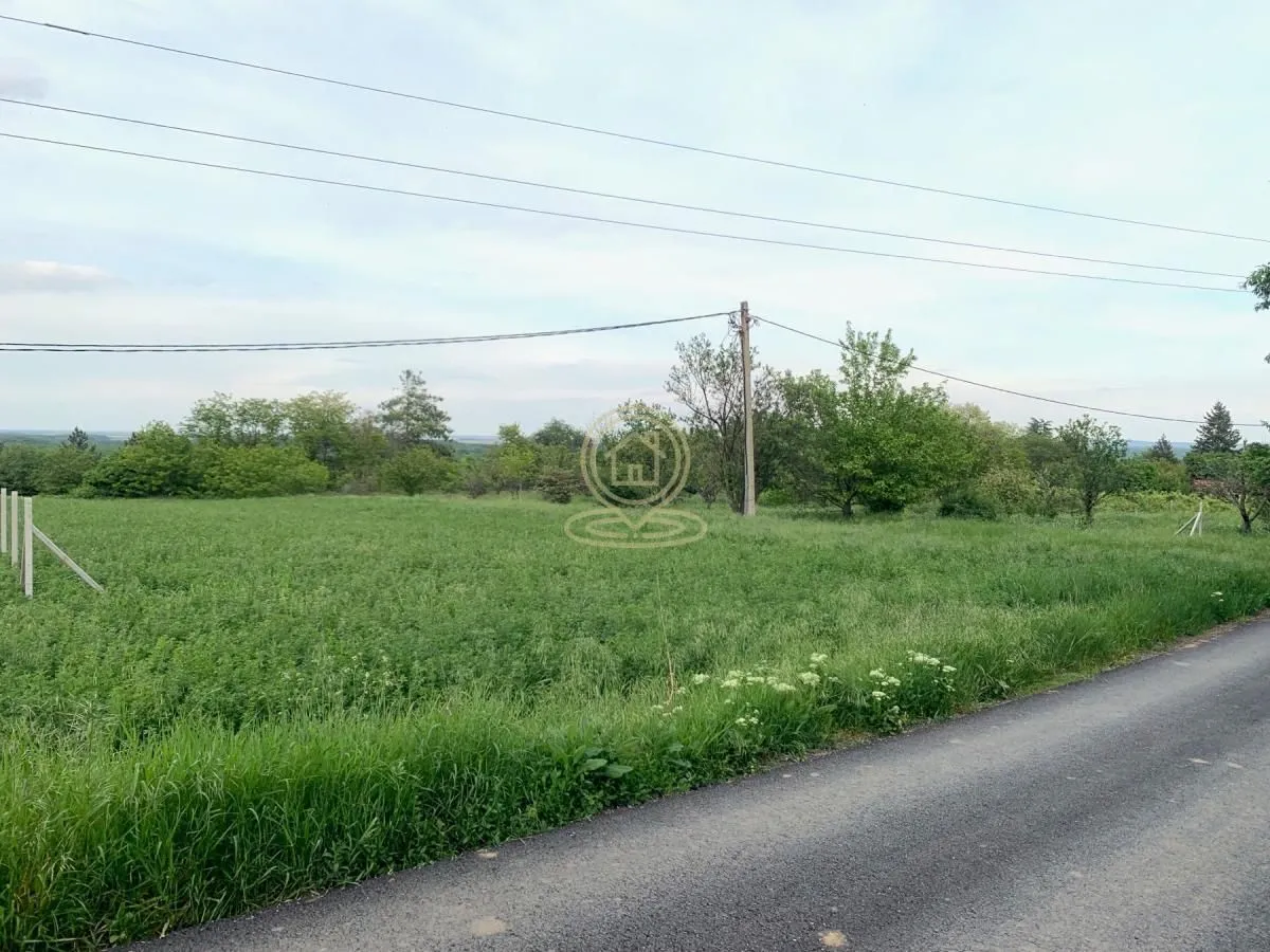 Prodaja, plac, 1960m², Širine, Petrovaradin