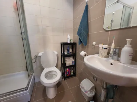 Manje kupatilo sa tuš kabinom, umivaonikom i WC šoljom. - image 17