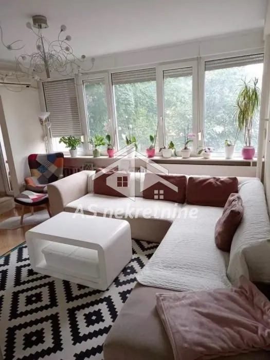 Living room with a sectional sofa, coffee table, and large windows filled with potted flowers.