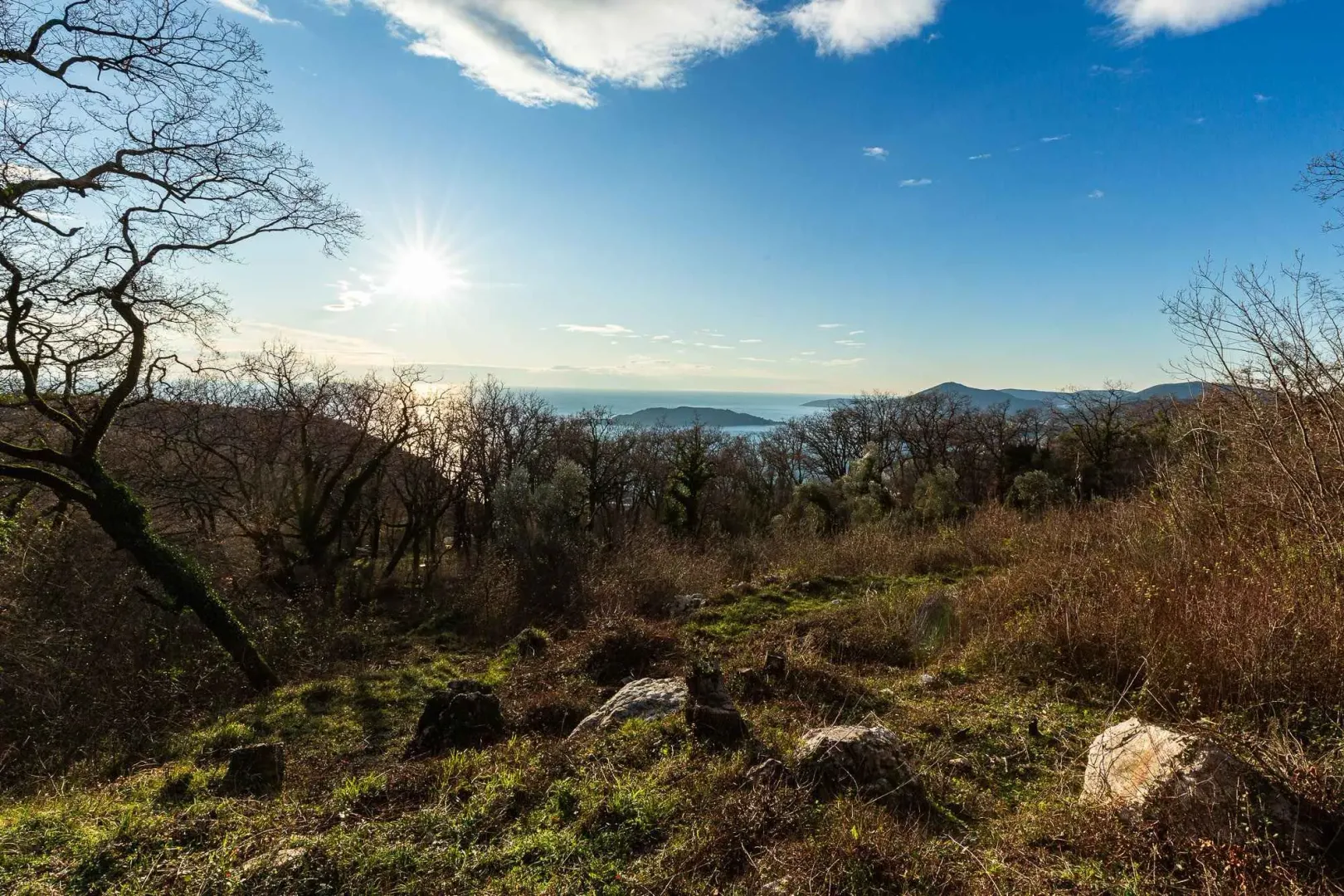 Pogled na more i okolni pejzaž sa zelenilom.