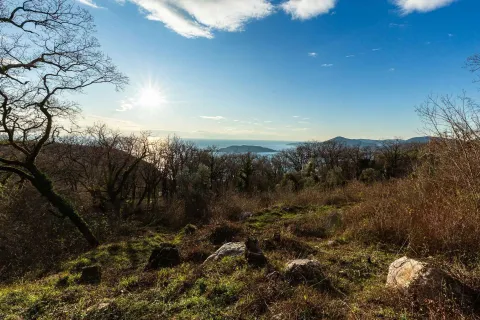 Pogled na more i okolni pejzaž sa zelenilom. - image 7