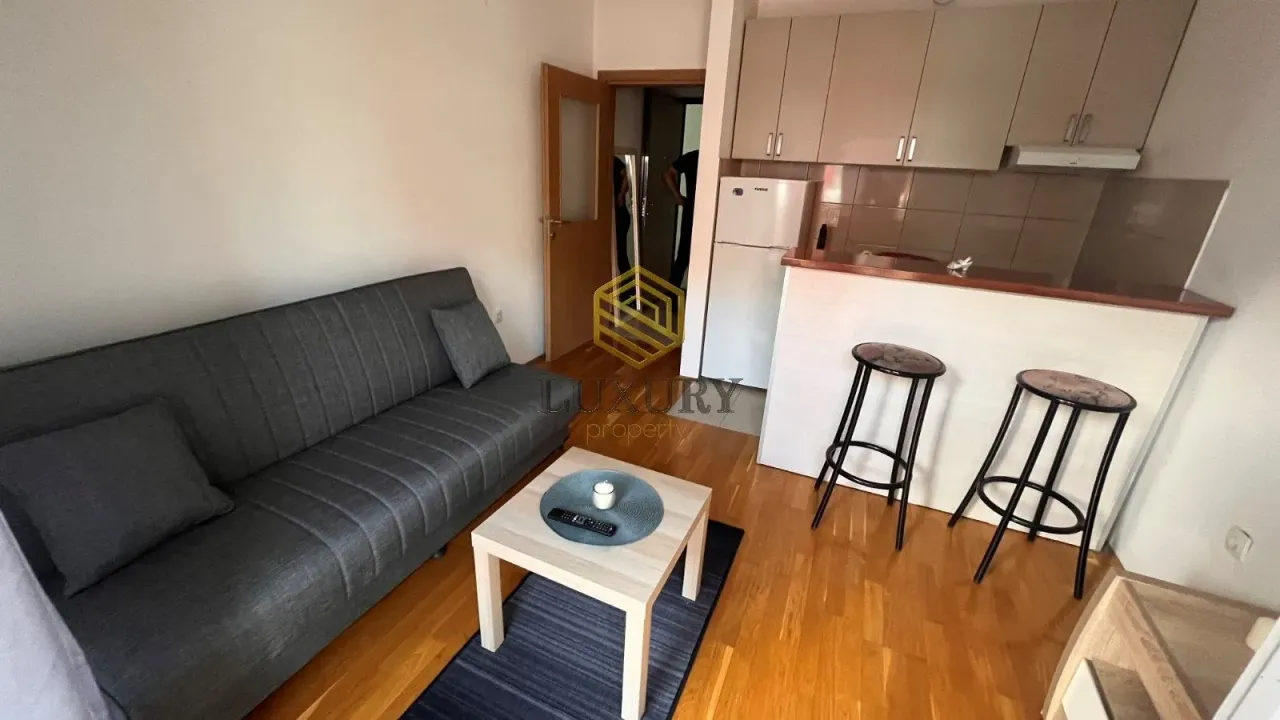 Izdavanje, garsonjera, 26m², Ljubović, Podgorica
