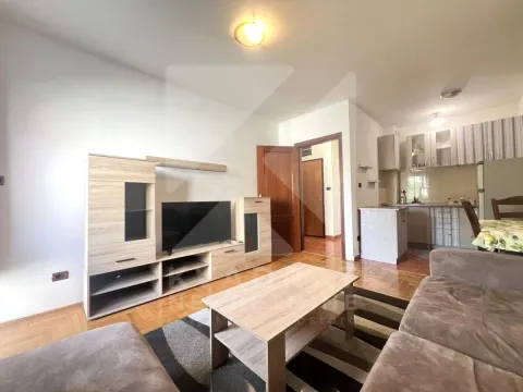 Rent, one bedroom apartment, 40m², Ljubović, Podgorica - image 1