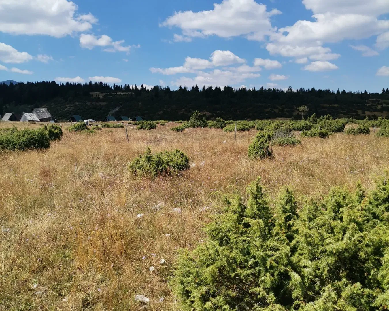 Prodaja, plac, 36000m², Žabljak, Crna Gora