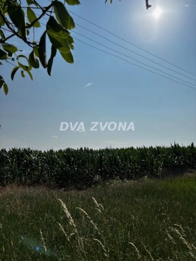 Prodaja, plac, 4700m², Čortanovci, Inđija