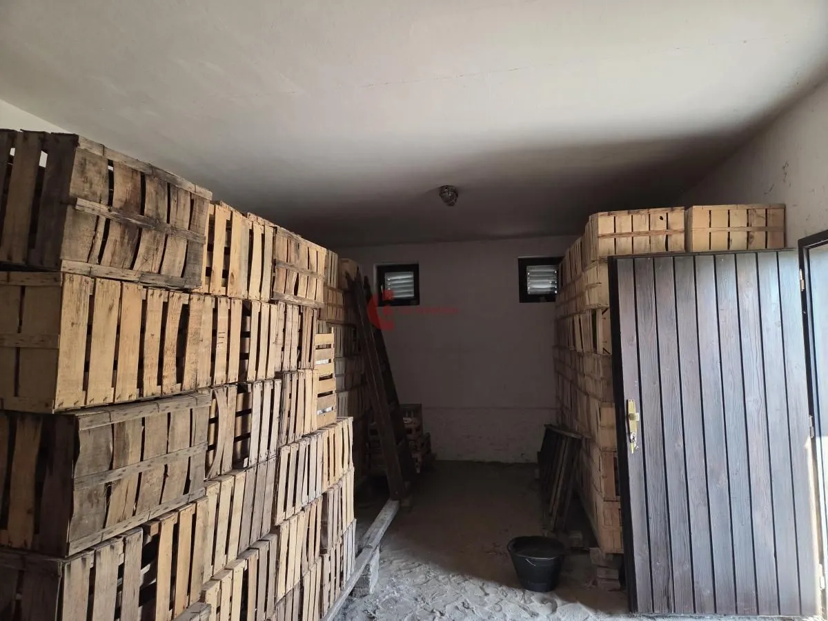 Prodaja, plac, 6873m², Bački Vinogradi, Subotica