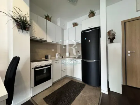 Izdavanje, jednosoban stan, 50m², Vezirov Most, Podgorica - image 3