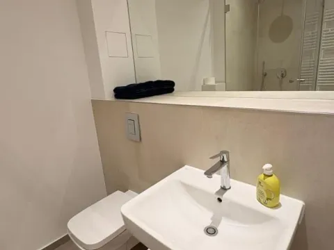 Izdavanje, dvosoban stan, 56m², Bulevar Oslobodjenja, Novi Sad Sve Podlokacije - image 10