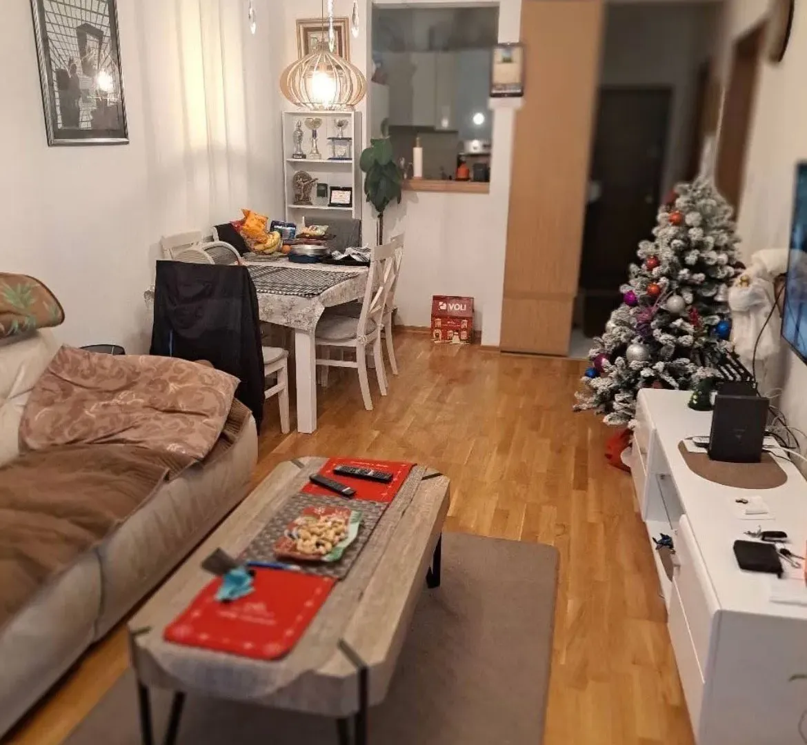 Prodaja, jednosoban stan, 51m², Tuški Put, Podgorica