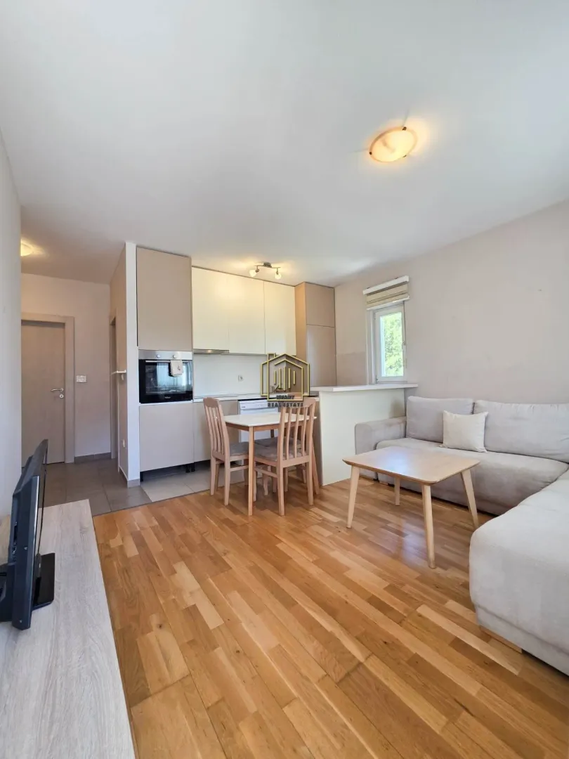 Rent, one bedroom apartment, 35m², Zabjelo, Podgorica