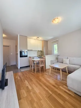 Rent, one bedroom apartment, 35m², Zabjelo, Podgorica - image 2