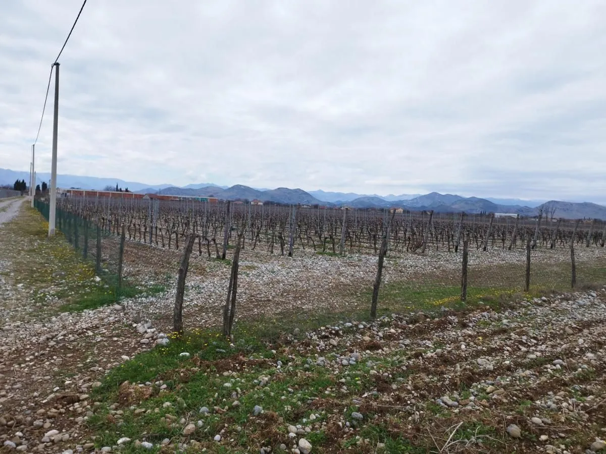 Prodaja, plac, 15000m², Podgorica, Crna Gora