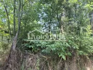 Prodaja, plac, Sopot, Beograd - image 7