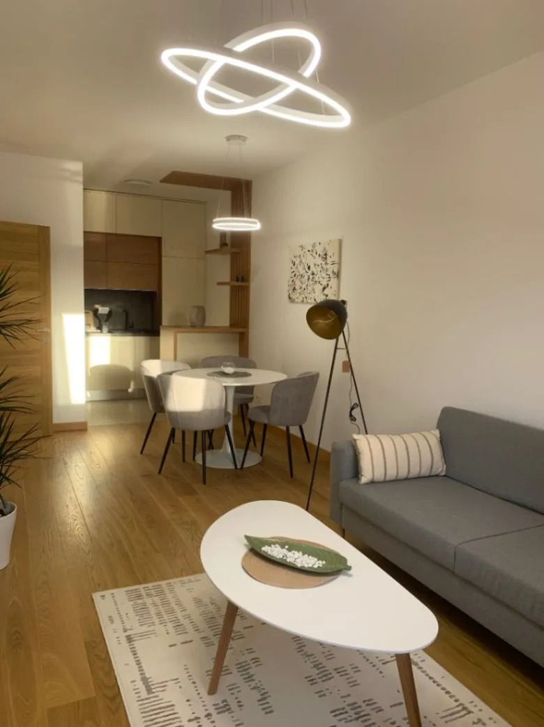 Rent, one bedroom apartment, 47m², New City, Podgorica