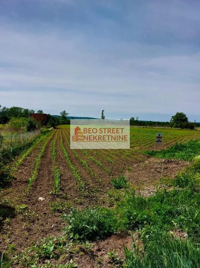 Prodaja, plac, 300m², Srebrno jezero, Veliko Gradište