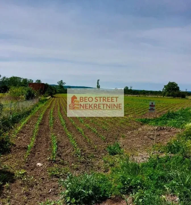 Prodaja, plac, 300m², Srebrno jezero, Veliko Gradište