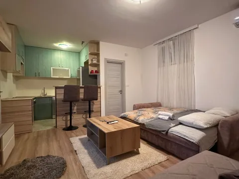 Daily-rent, one bedroom apartment, 30m², Central Point, Podgorica - image 1