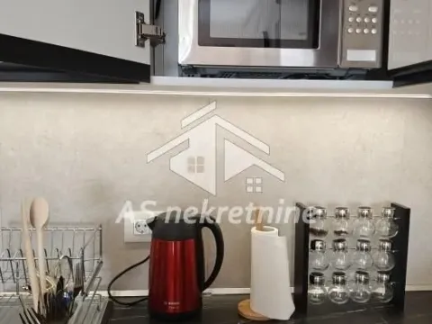 Izdavanje, dvosoban stan, 60m², Novi Beograd Sve Podlokacije, Beograd - image 6