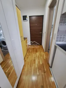Izdavanje, jednosoban stan, 32m², Zemun Sve Podlokacije, Beograd - image 2