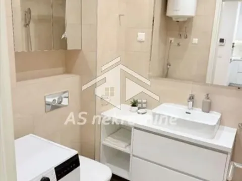 Izdavanje, dvosoban stan, 55m², Tašmajdan, Palilula Sve Podlokacije - image 7