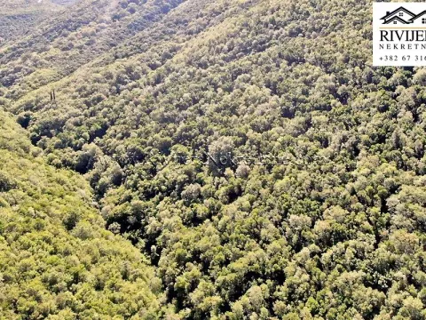 Prodaja, plac, 38868m², Zelenika, Herceg Novi - image 6