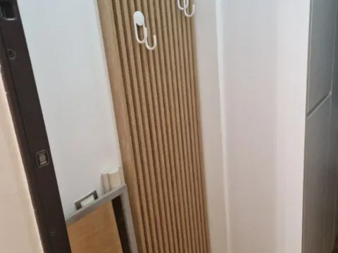 Izdavanje, garsonjera, 18m², Babin Do, Budva - image 4