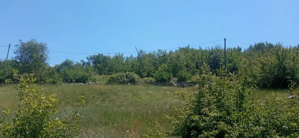 Prodaja, plac, 1500m², Ozrinići, Nikšić