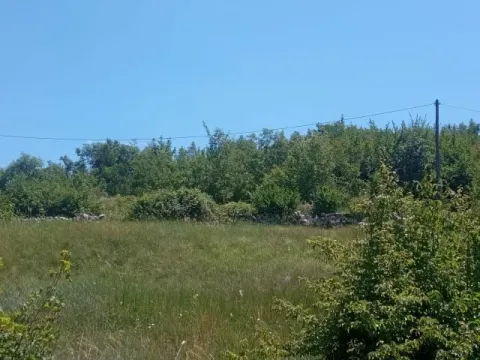 Prodaja, plac, 1500m², Ozrinići, Nikšić - image 6