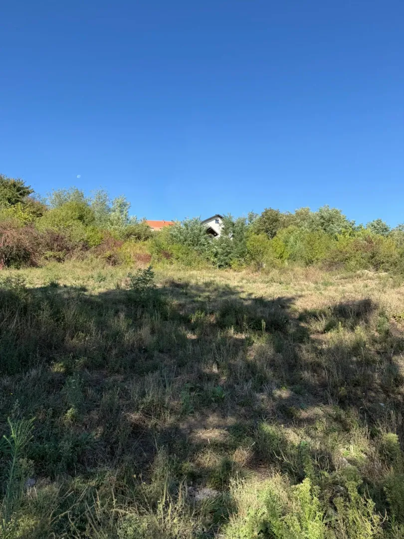 Pogled na plac sa travnatom površinom i zelenilom u pozadini.