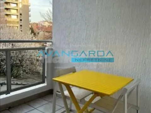 Izdavanje, stan, 45m², Južni Bulevar, Vračar Sve Podlokacije - image 9