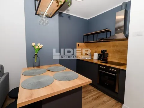 Izdavanje, dvosoban stan, 50m², Novi Beograd Blok 1 Fontana, Novi Beograd Sve Podlokacije - image 3