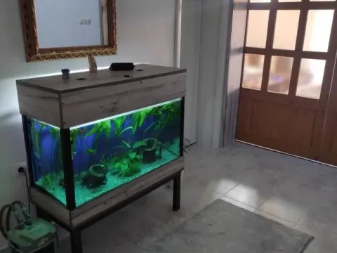 Prodaja, kuća, 350m², Bjeliši, Bar - image 14