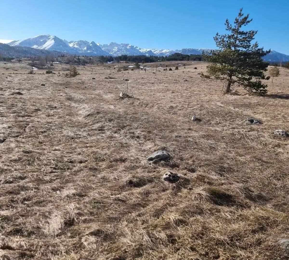 Prodaja, plac, 2200m², Žabljak, Crna Gora